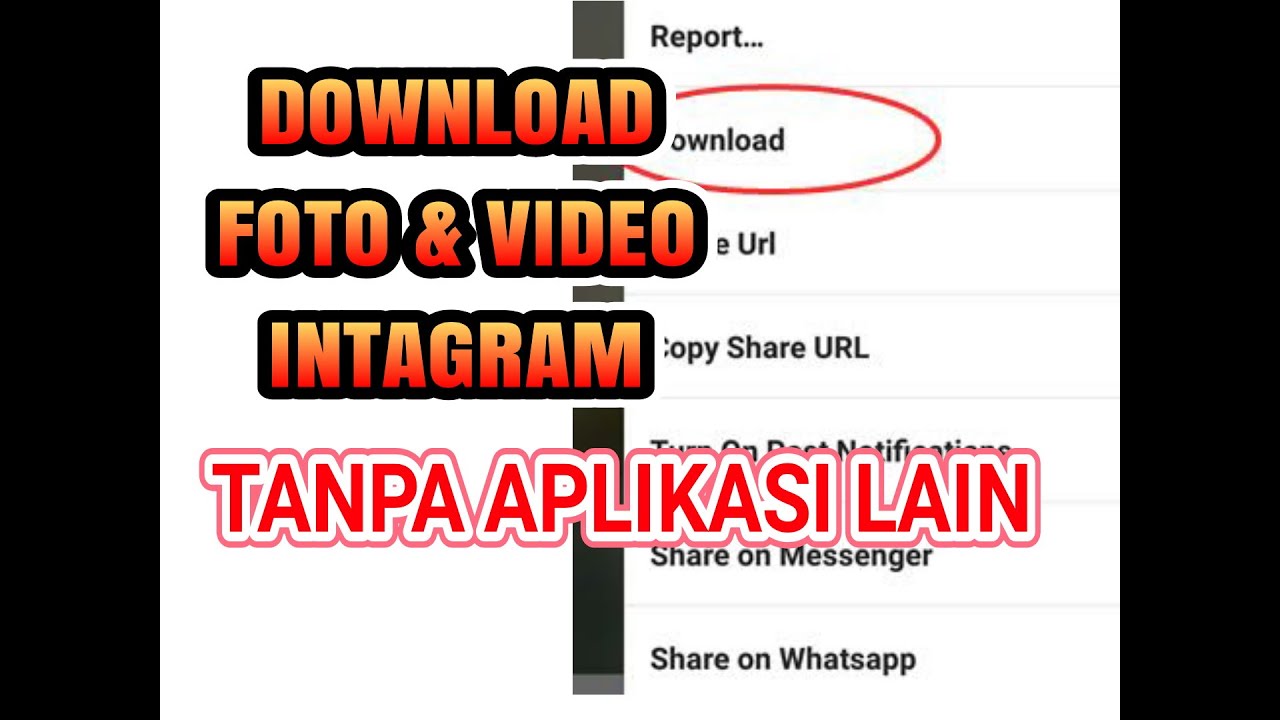 download video tanpa aplikasi